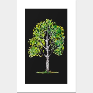 Birch Watercolor Posters and Art